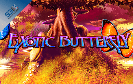 Exotic Butterfly Slot Machine Online