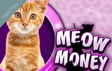 Meow Money Slot Machine Online