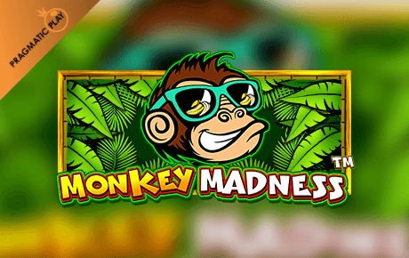 Monkey Madness Slot Machine Online
