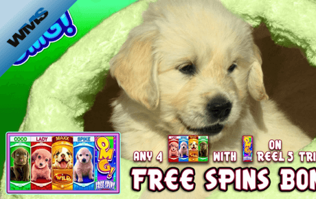 OMG! Puppies Slot Machine Online