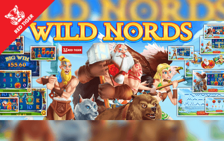 Wild Nords Slot Machine Online